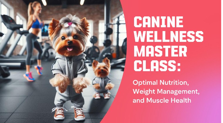 Canine Wellness Masterclass: Optimal Nutrition, Weight Management, and Muscle Health